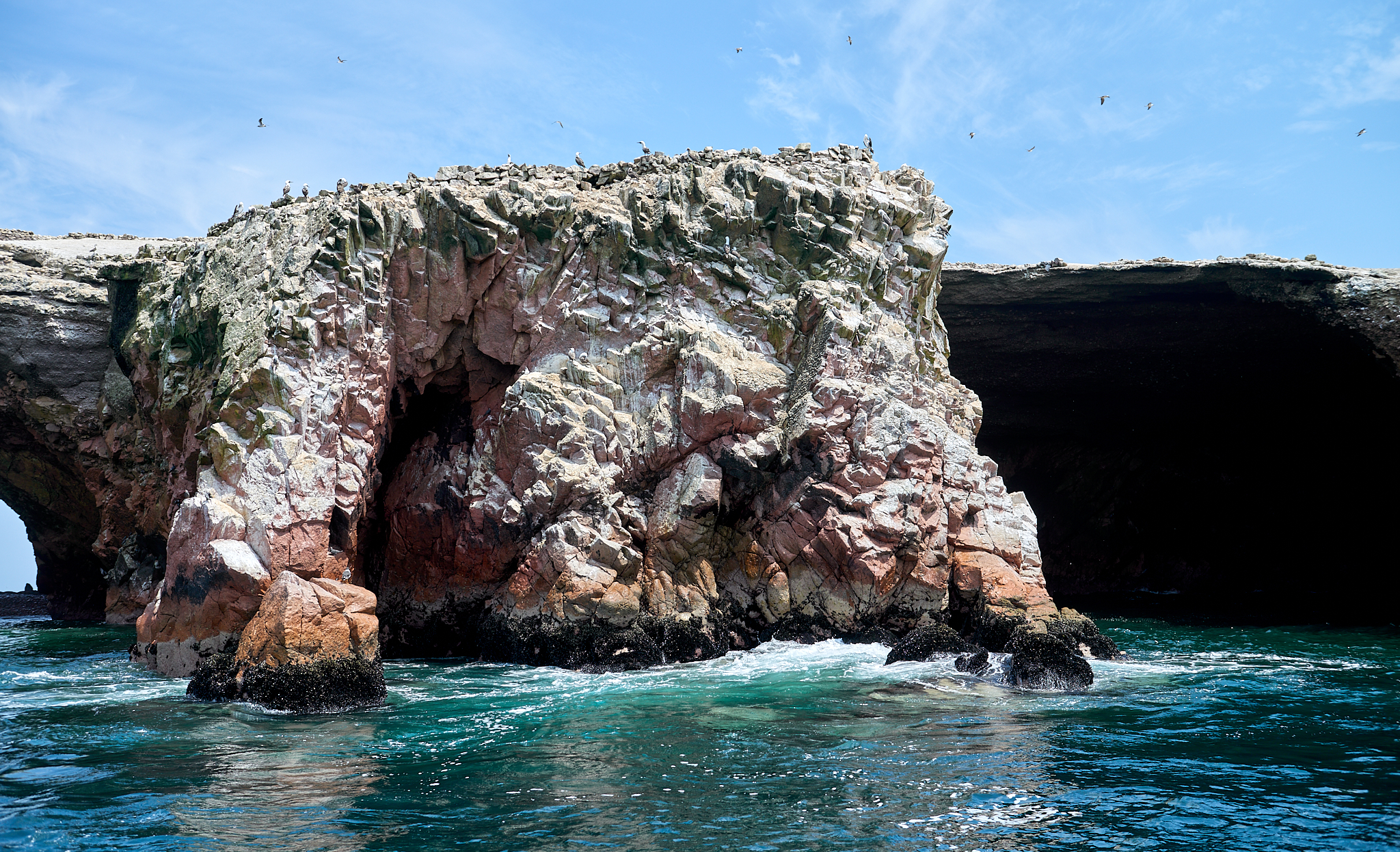 20200304 123 [페루] 바예스타섬